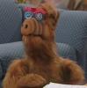 Alf фотография